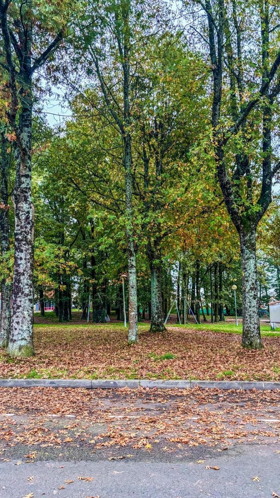 Studio Travailleur Daire La Roche-sur-Yon Dış mekan fotoğraf